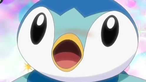 神奇宝贝小光的波加曼不知道看到了什么看上去十分惊讶