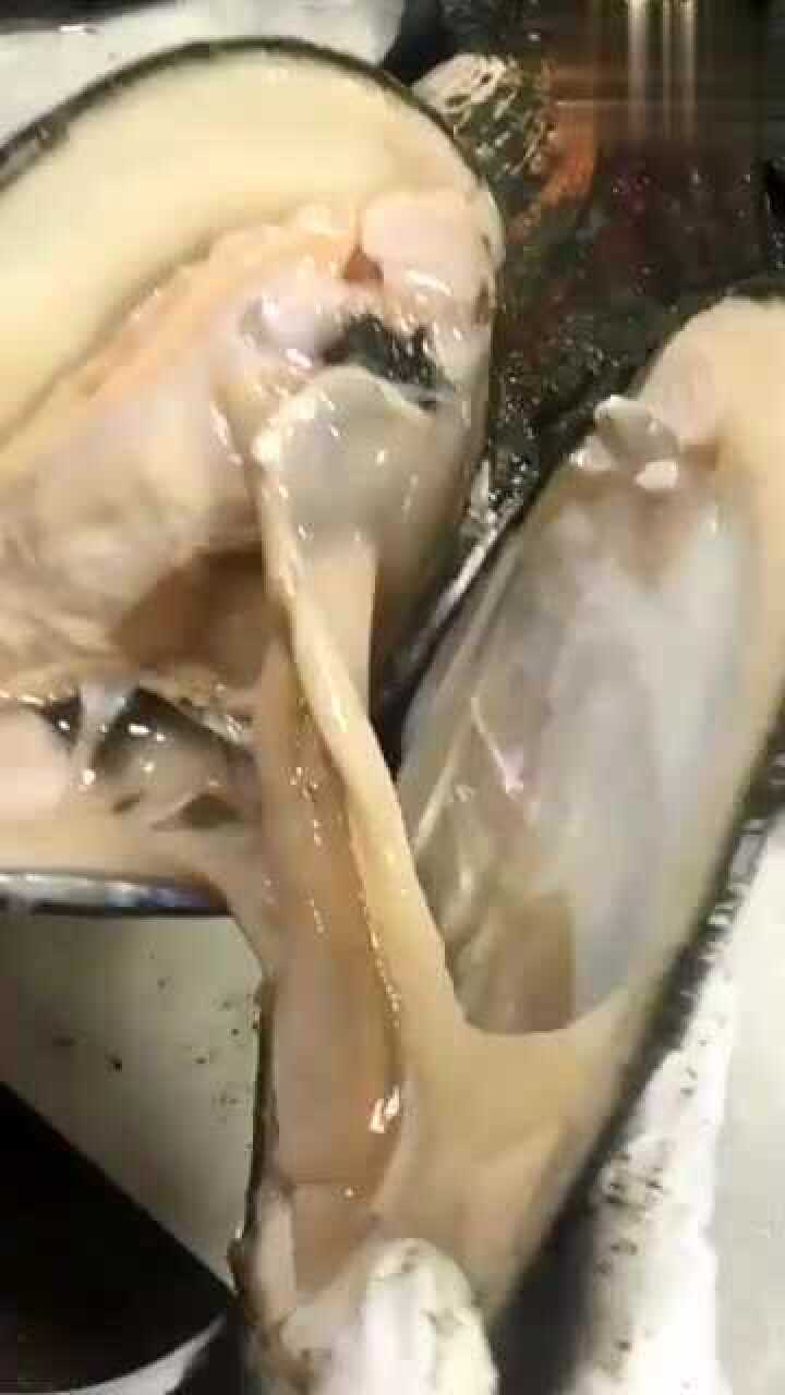 最近这河蚌火了,这河蚌要成精啊,这珍珠绝对是精品!