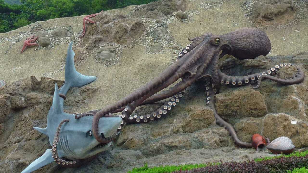 巨型章鱼吞人远古图片