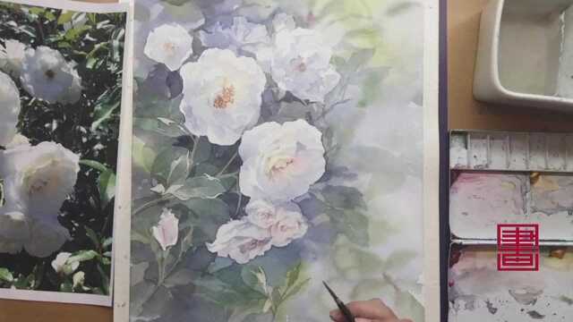 水彩画欣赏:精细刻画白色芍药花,每一片花瓣画的都很薄