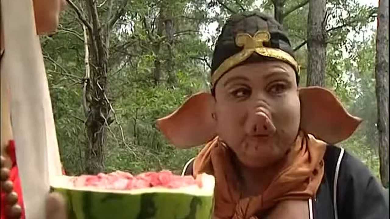 猪八戒偷吃西瓜!真好笑