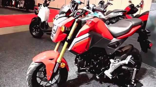 做工一流的小摩托!2019 本田Honda Grom 125