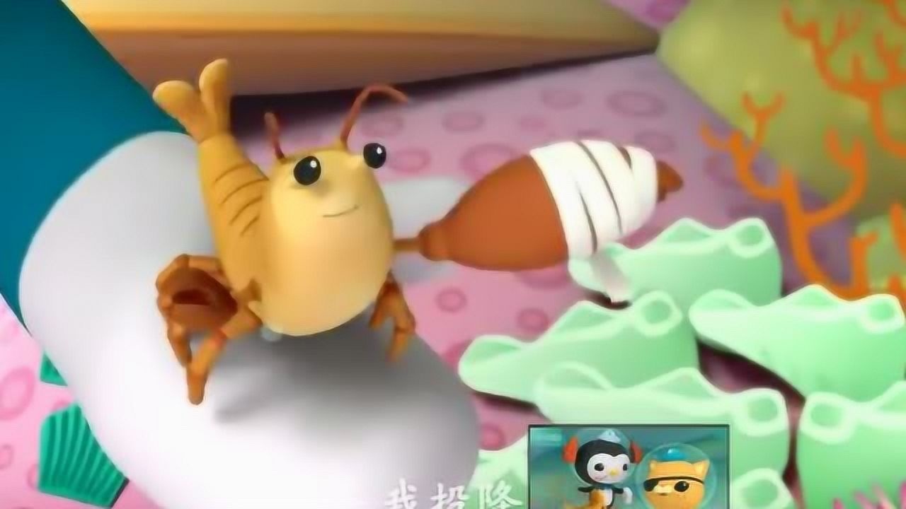 海底小纵队;海里嗓门最大的鼓虾你有没有见过.