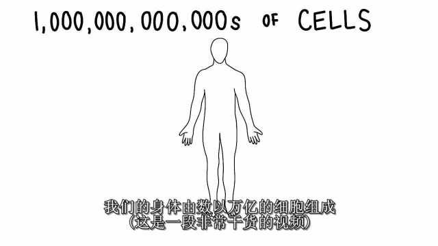 最专业的癌症解析 从细胞生命周期看懂疾病是如何产生的