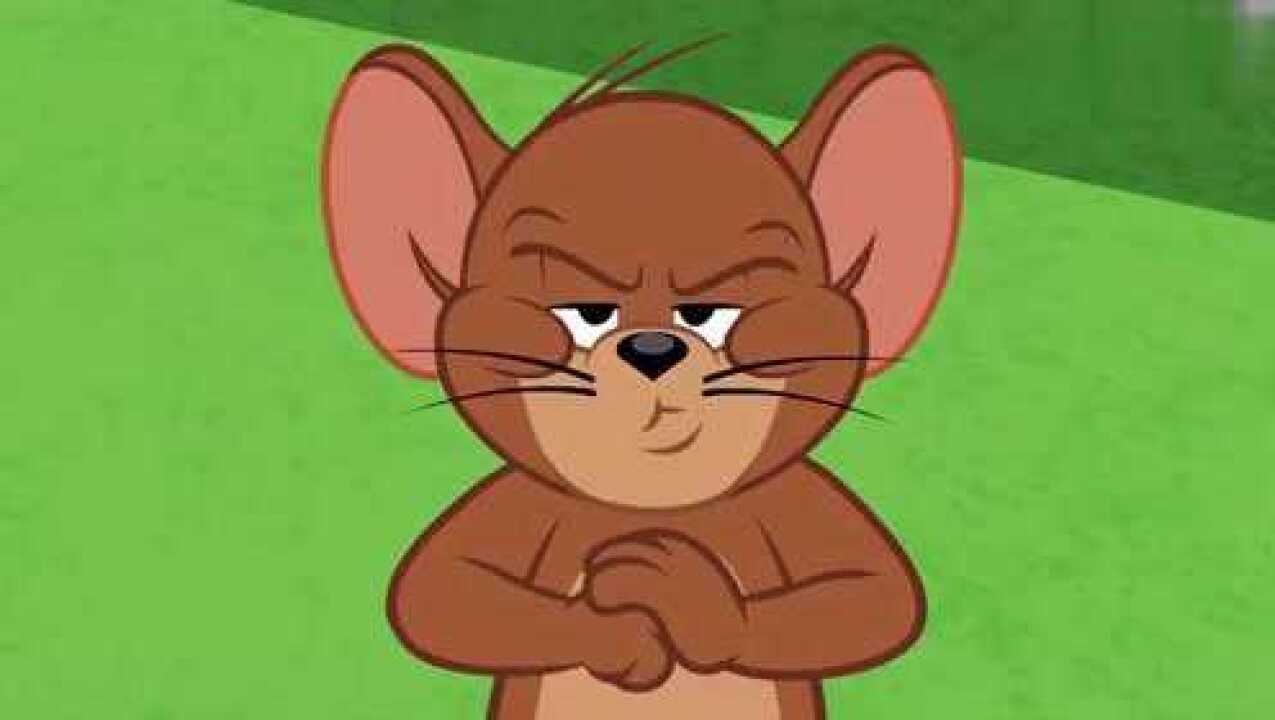 新猫和老鼠第二季一只倒霉的汤姆功夫猫