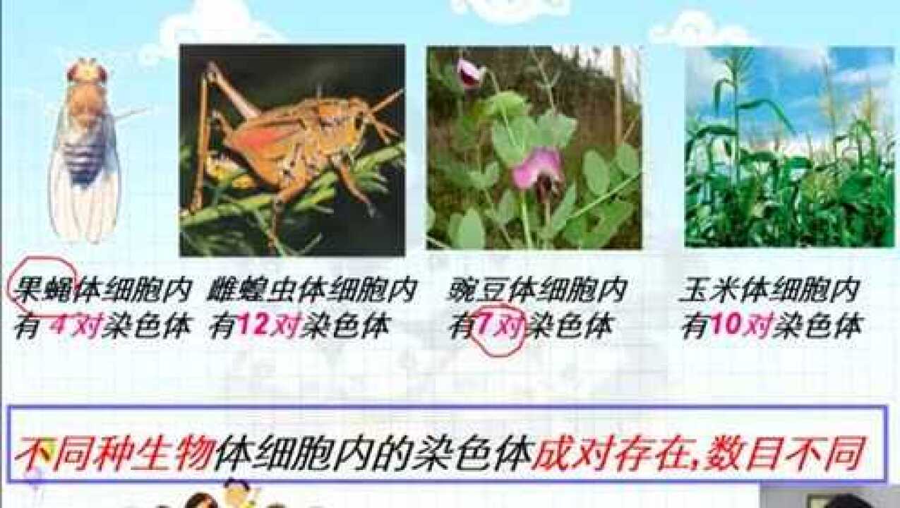 微课转发：生物的遗传和变异_腾讯视频