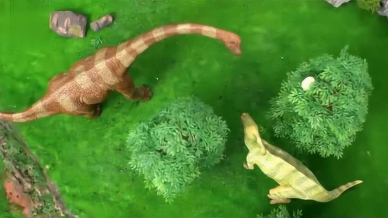 儿童动画宝宝巴士玩具,恐龙霸王龙叼走慈母龙的