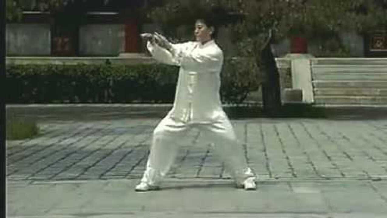 48式太极拳动作口诀 _ Taijiquan 48 forms 48式太极拳 – EPSGAN
