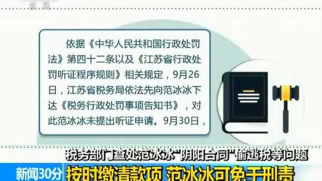 税务部门依法查处范冰冰“阴阳合同”等偷逃税问题