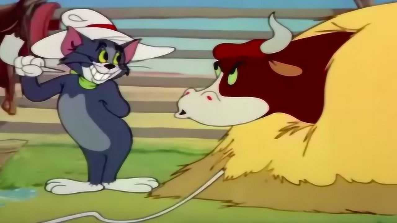 猫和老鼠:汤姆斗牛这个搞笑让我先笑一会!
