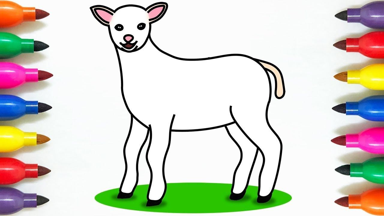 儿童简笔画:一只小羊羔