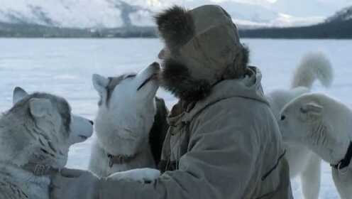 猎人带着几只雪橇犬独自在野外生存，这才是真正的荒野求生！