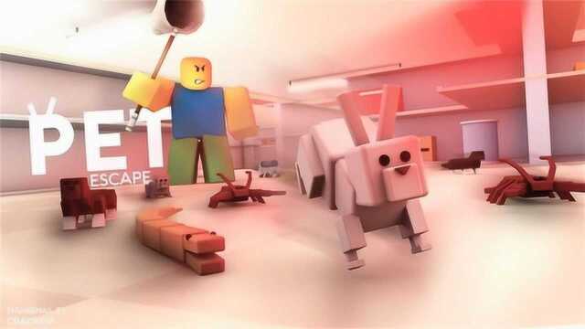 波波仔解说roblox虚拟世界“宠物逃生”:今天我是波波鼠!