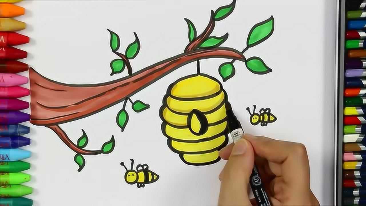 画美丽的蜜蜂和蜜蜂窝并涂上金黄色吧 宝宝学画画