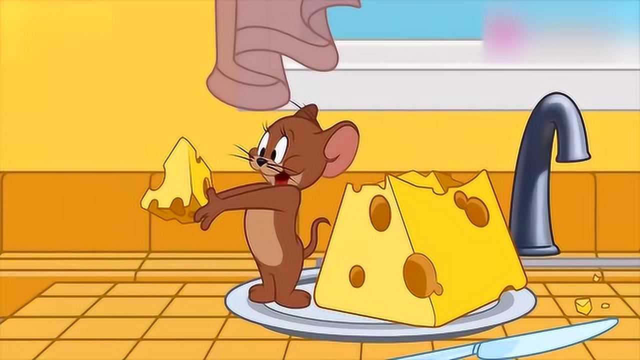 新猫和老鼠 小苍蝇想夺走大块的奶酪 而杰瑞却不同意_腾讯视频