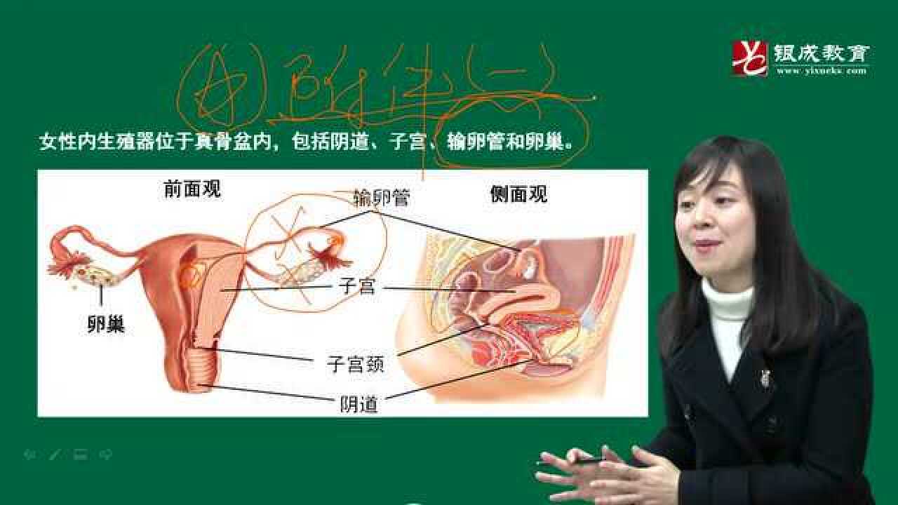 [6.6] 生殖器、肛门和直肠检查