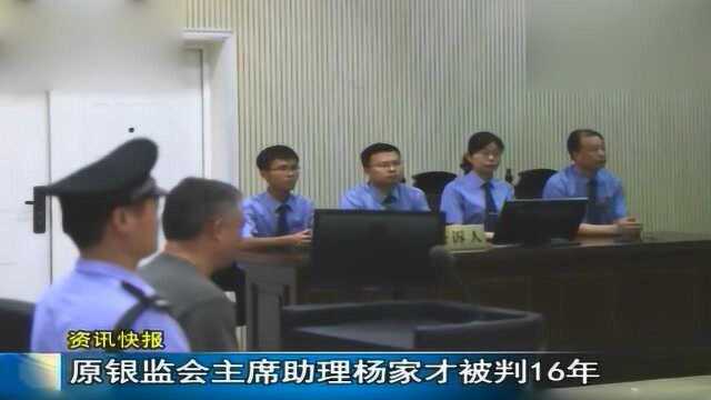 原银监会主席助理杨家才被判16年