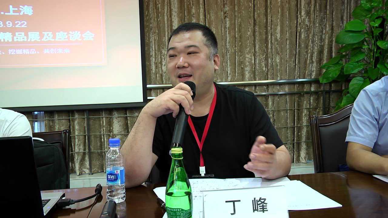 民间座谈会丁峰讲话