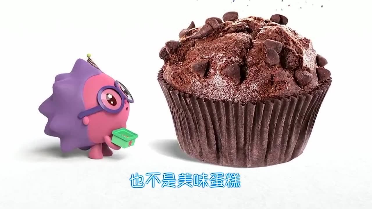 瑞奇宝宝神奇的术语有哪些呢我们一起来学习一下吧