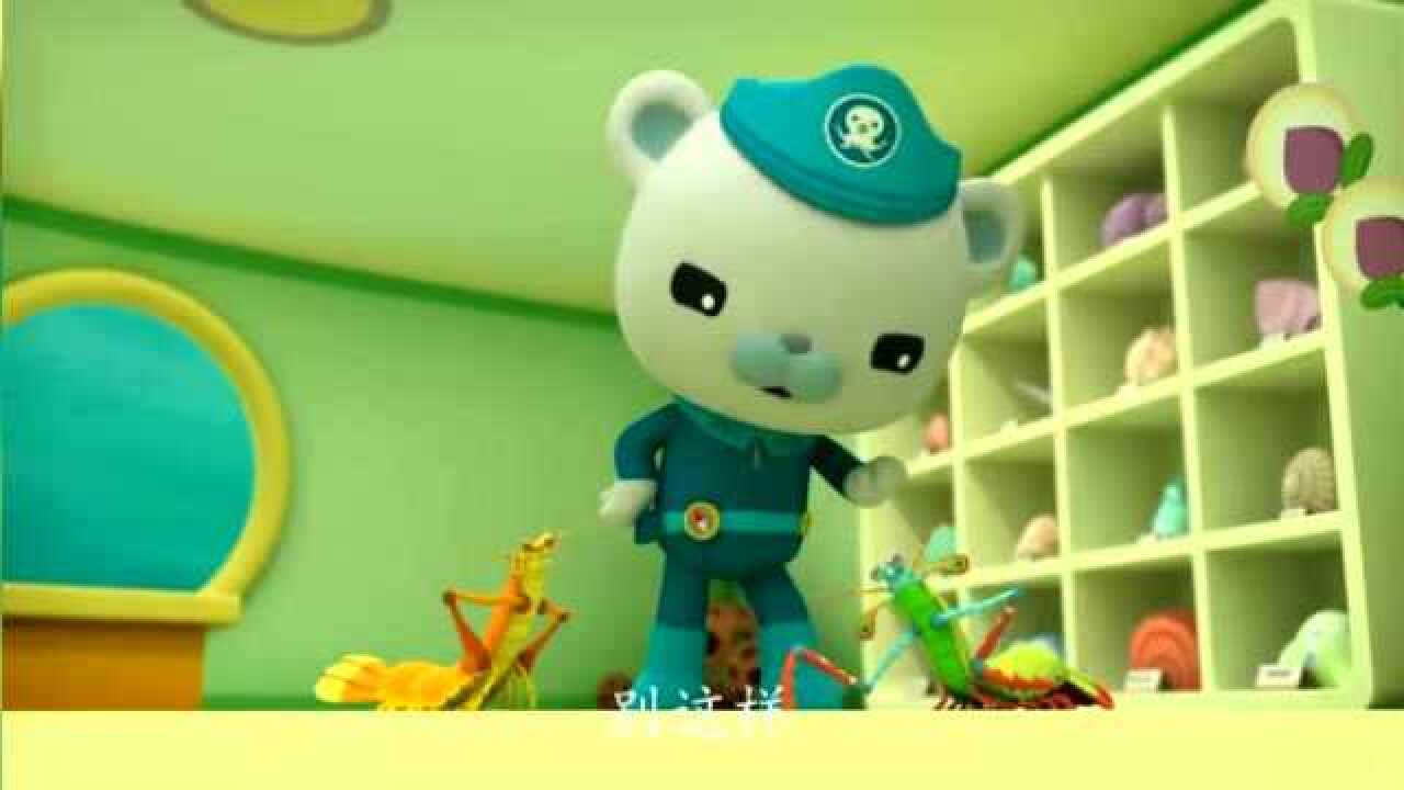 巴克队长让两只螳螂虾冷静一下把它们单独放进了玻璃缸里