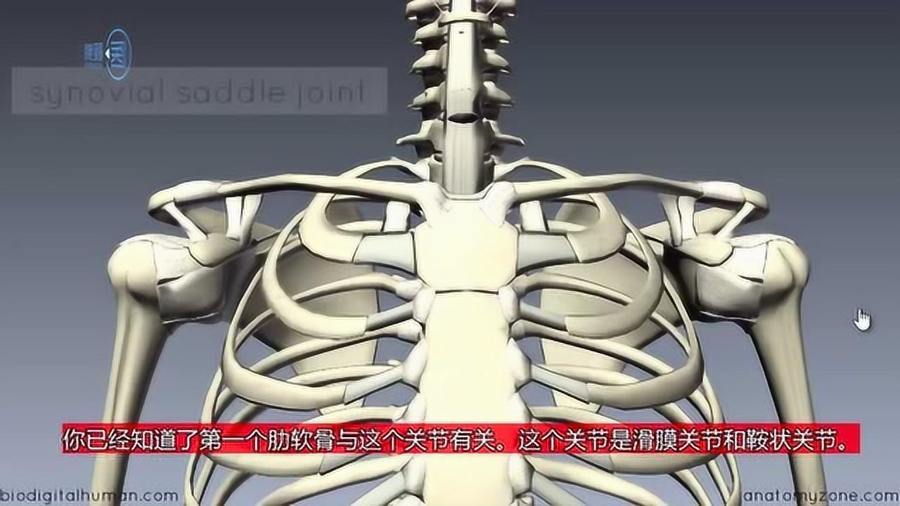 来腾讯视频看更多热门视频