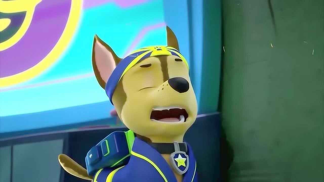 汪汪队立大功:阿奇对猫毛过敏,不停的打喷嚏!