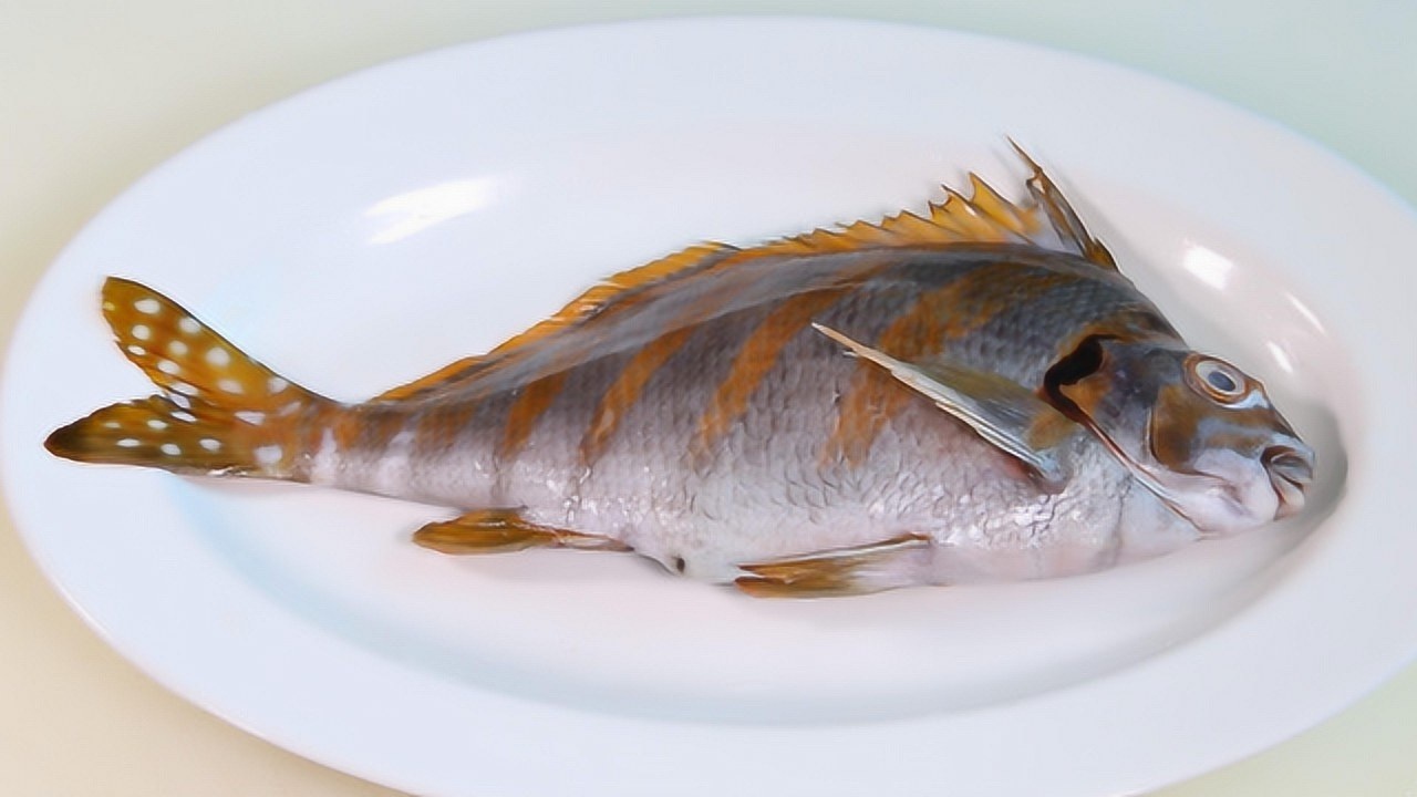 清蒸三刀鱼尝过的人都说好的美味食材与做法都原汁原味