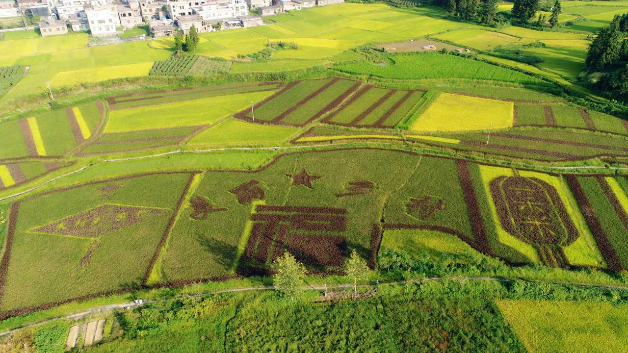 汝城县稻田航拍