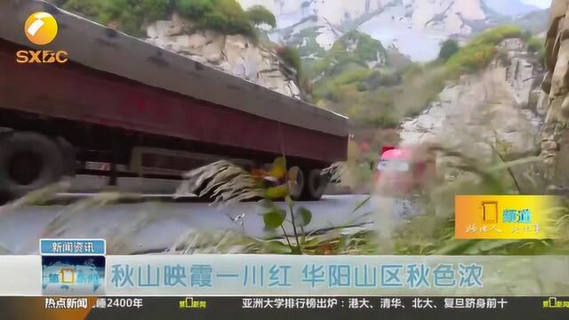 大美陕西58:秋山映霞一川红,华阳山区秋色浓