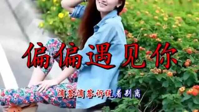 一曲《偏偏遇见你》茫茫人海中, 偏偏让我遇见你