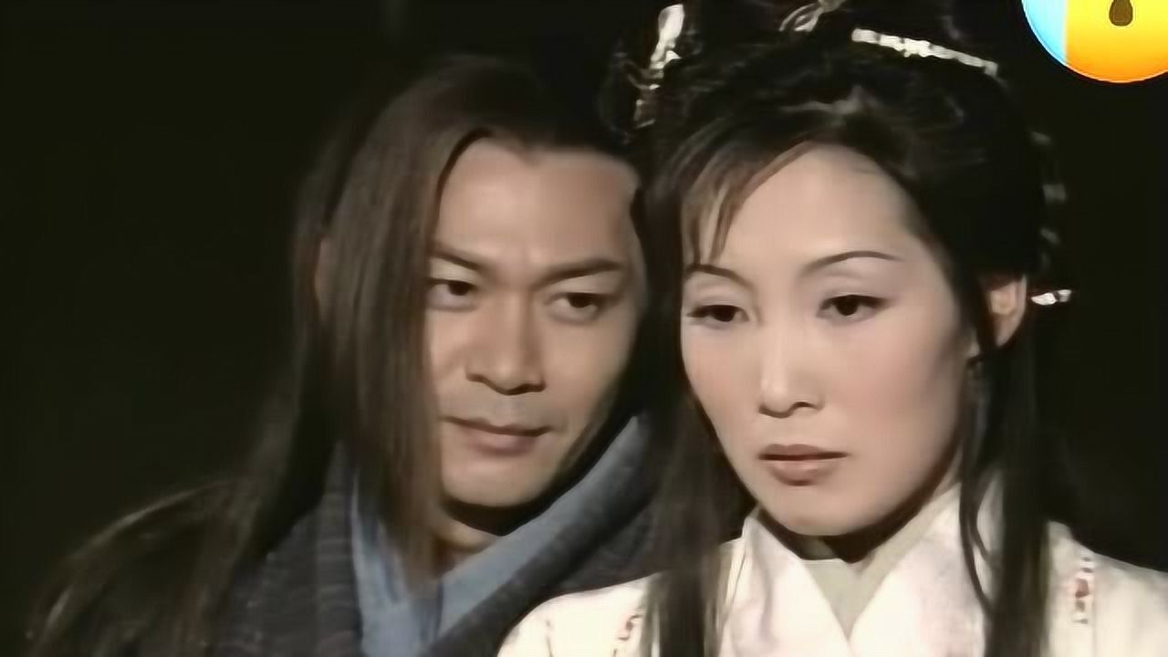 碧血剑温仪悉心照顾重伤的金蛇郎君金蛇郎君对她留下好印象