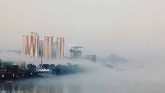 你的好友雾都上线!重庆雾漫涪江晨曦如仙境