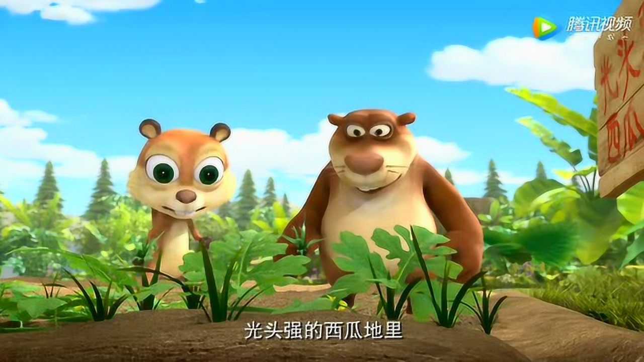 熊熊乐园:光头强西瓜地里的杂草太多啦,把西瓜苗的营养都吸收啦