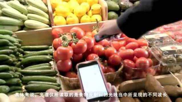 SCIO食品生物扫描仪,黑心食物无所遁形,一扫便知!