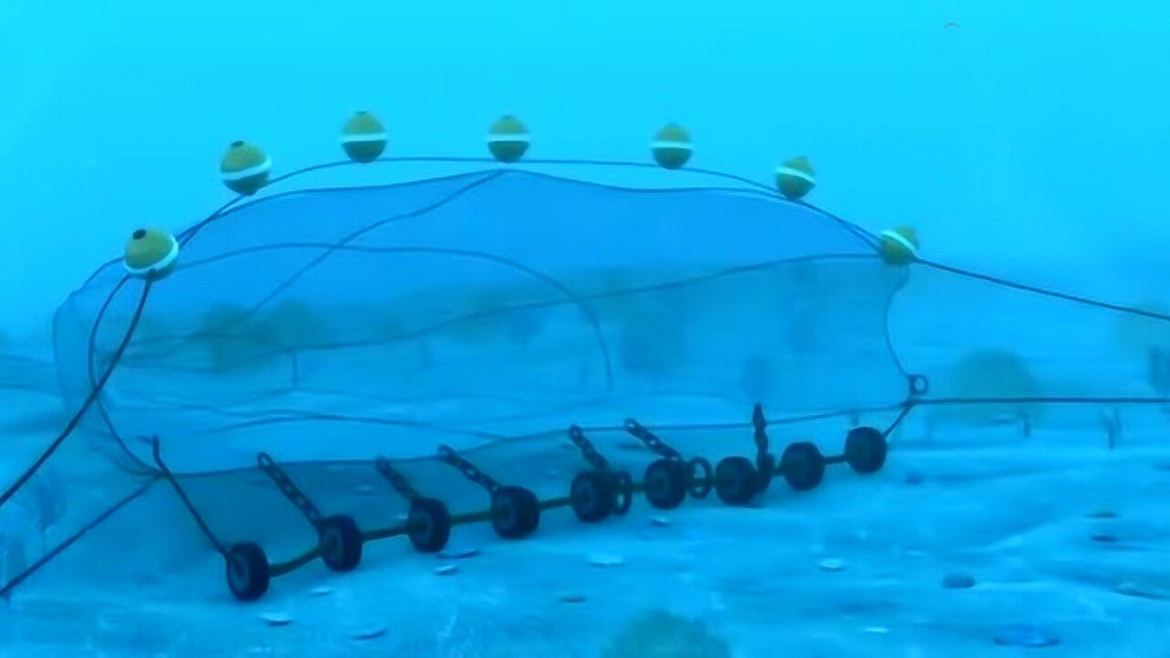 底拖网捕鱼动画演示能看懂原理的大神来解释一下