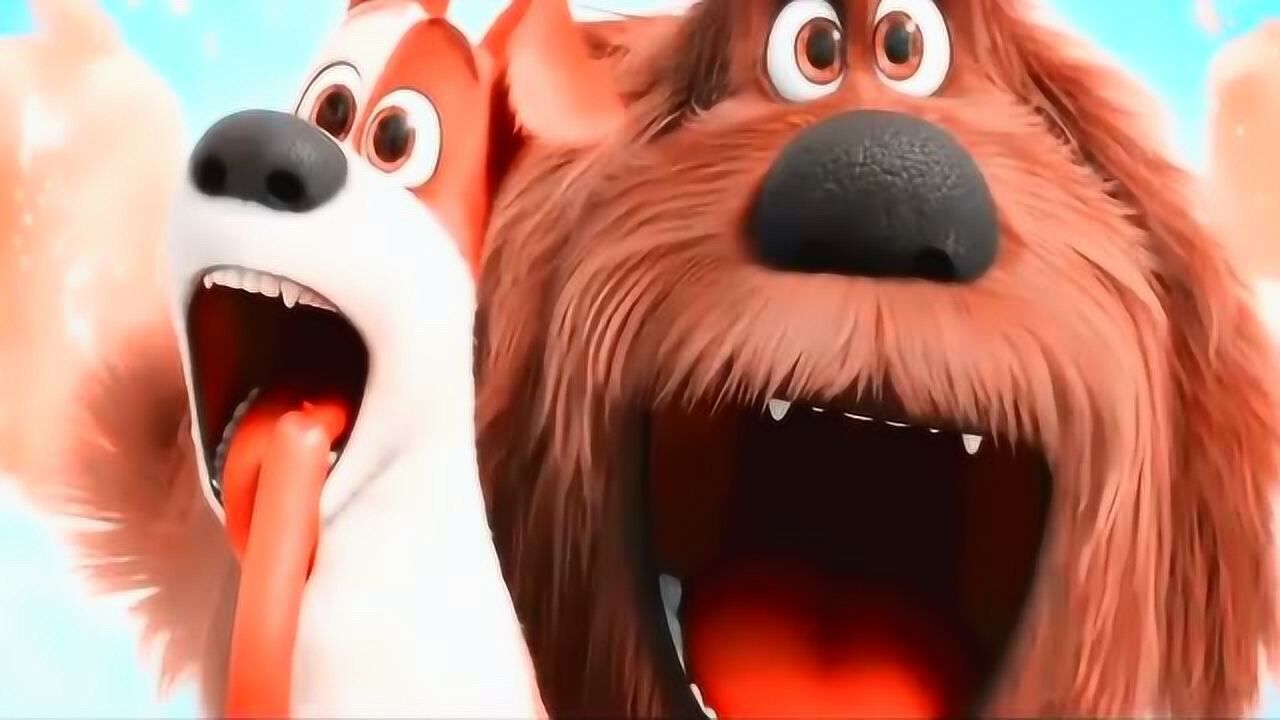 爱宠大机密狗狗们坐上香肠火车满脸都是幸福的味道啊