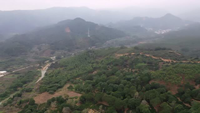 调研浮滨镇宫下村、中段村、排江村、五祉村、麦园村视频航拍