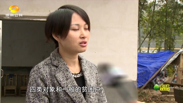 长沙望城农村危房改造