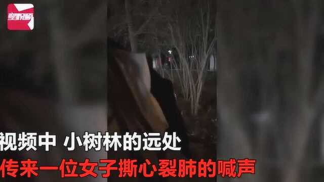 高校女生遭侵犯喊得撕心裂肺?学校:男女朋友吵架,已报警处理