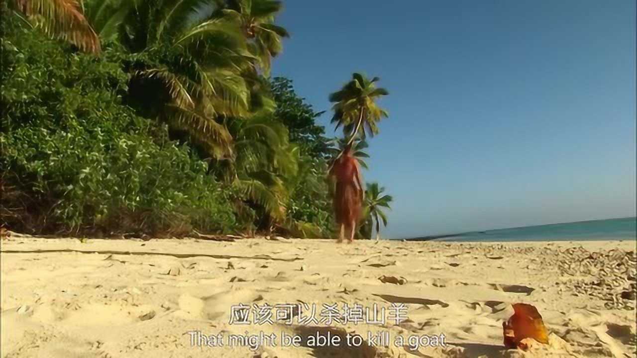 荒岛余生只身在荒岛60天德爷最完美的一天捉到超大椰子蟹