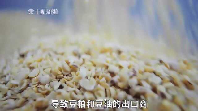 跟随美豆涨价脚步,这国也提高自家豆制品价格,中国却拒绝购买?