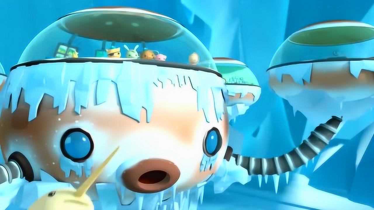 海底小纵队第一季非常特殊的鲸鱼究竟有什么特别之处呢