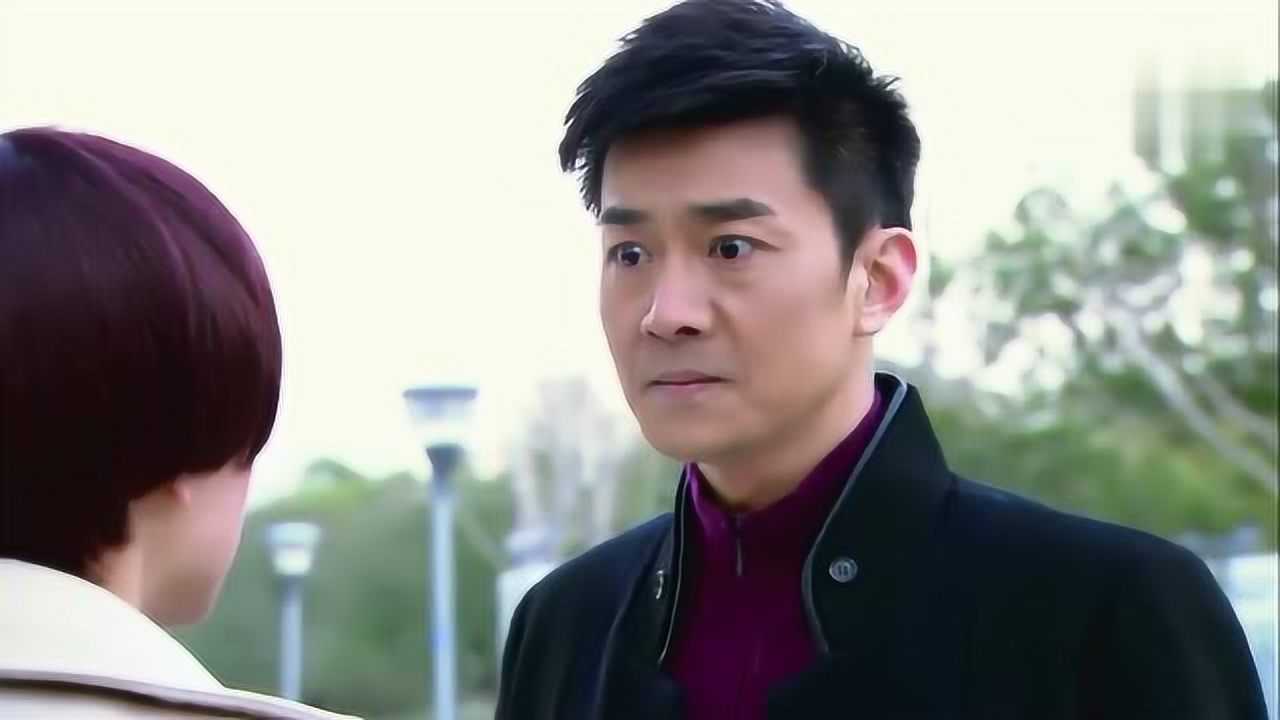 家和万事兴:在杨兰的劝说下刘嘉诚去找张映雪,临走前吻了杨兰