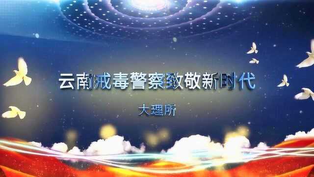 云南戒毒警察致敬新时代——大理所