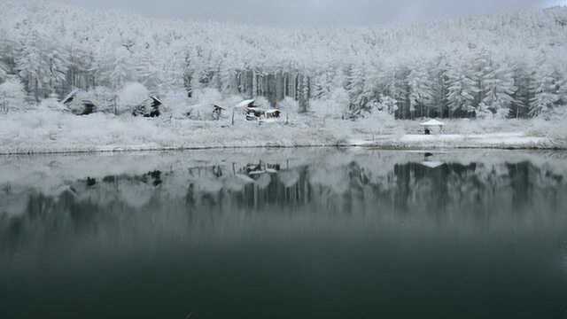 冬季雪景美美哒