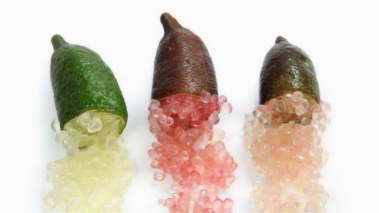 全球最贵水果"手指柠檬",800多一斤,水果界的鱼子酱!