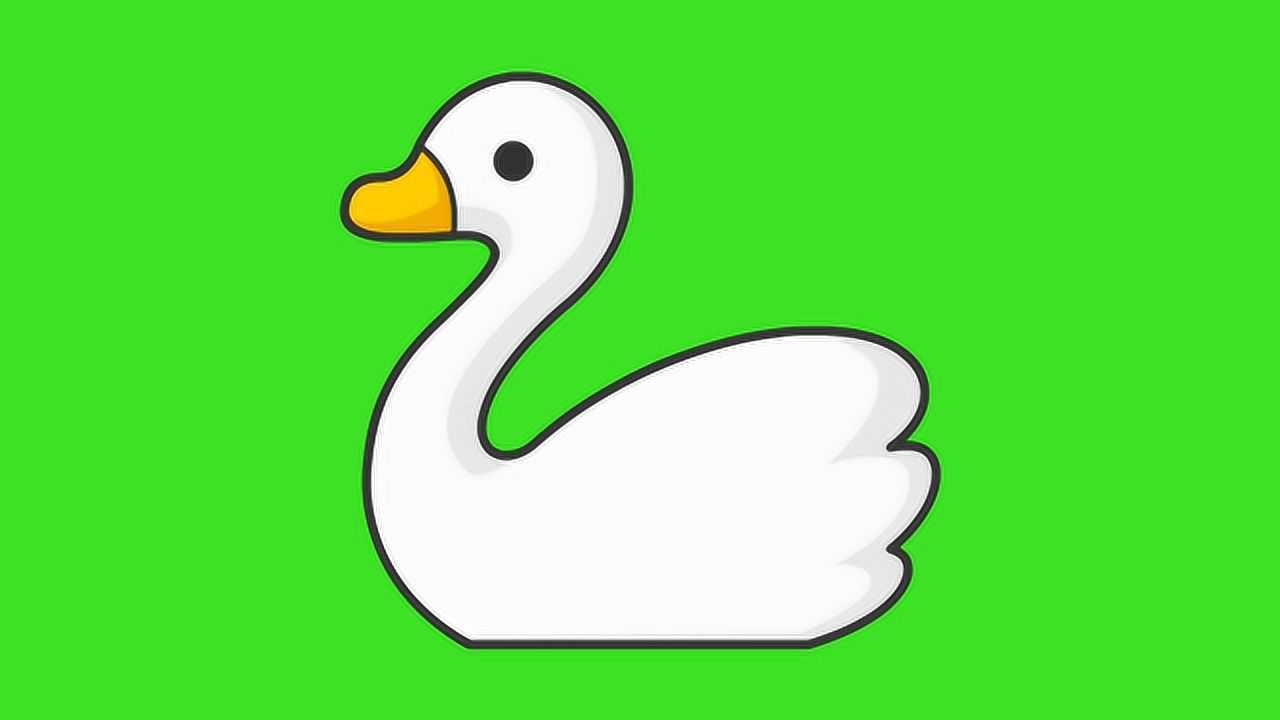 绘画课程画一只美丽的白天鹅