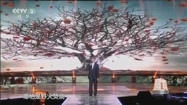 盲人小伙程佳佳一曲《五百年桑田沧海》淡淡的忧伤萦绕,真好听!