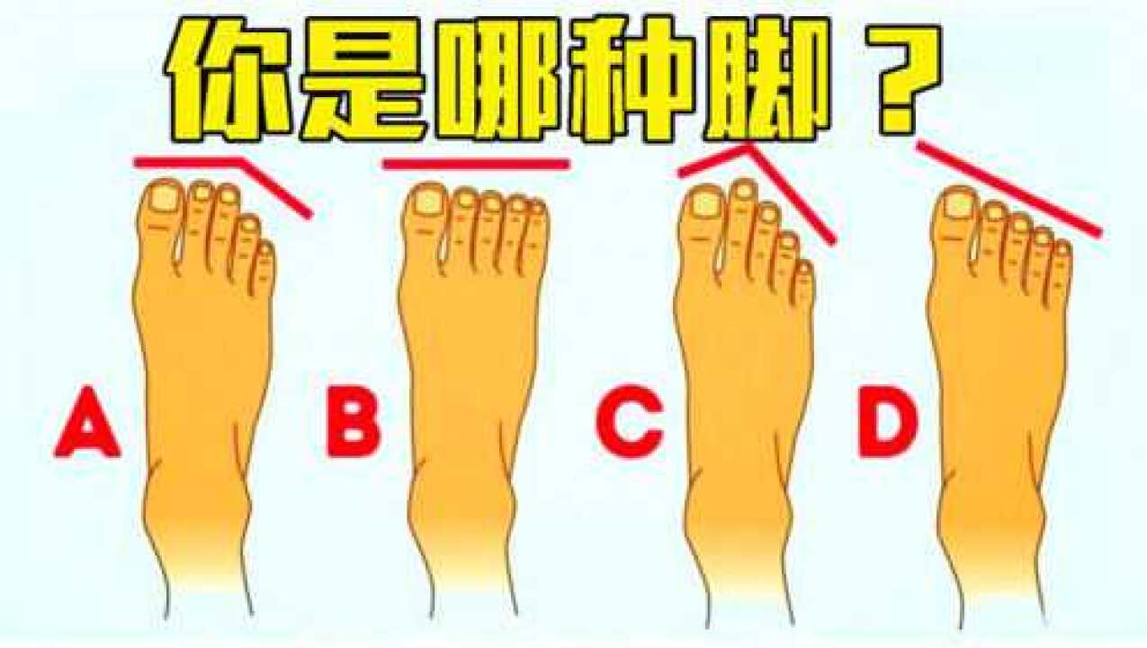 依据脚趾长度可分辨埃及脚罗马脚和希腊脚知道你是哪种吗