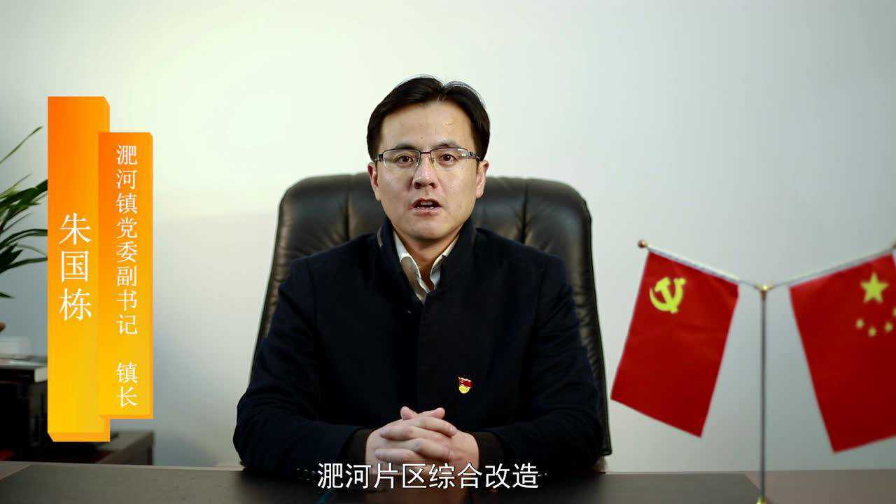 2019年春节淝河镇拜年视频